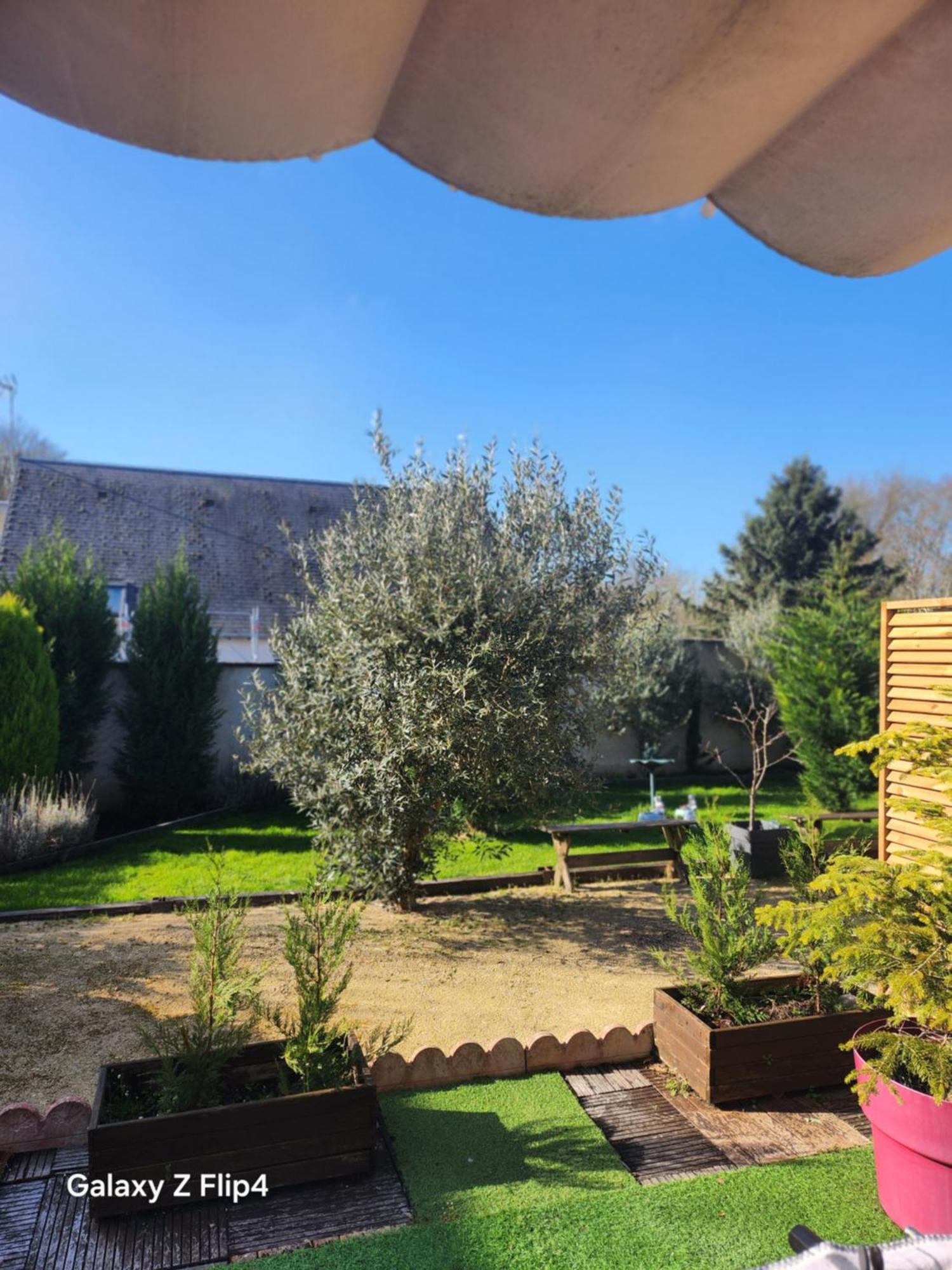 Les Oliviers * Veigné